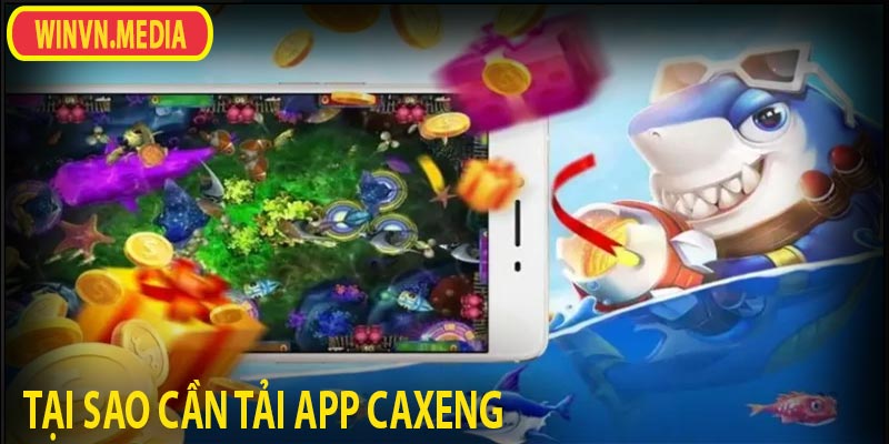 Tại sao chúng ta cần tải cá xèng